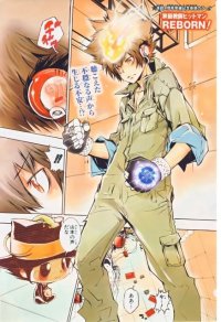 BUY NEW reborn - 188963 Premium Anime Print Poster